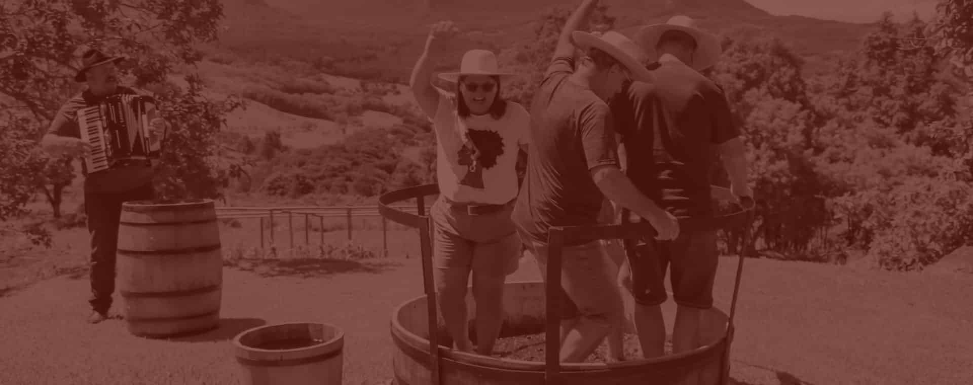 Vitivinícola Jolimont