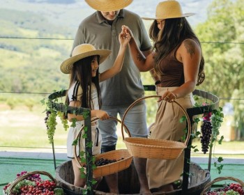 Pisa das Uvas - Jolimont