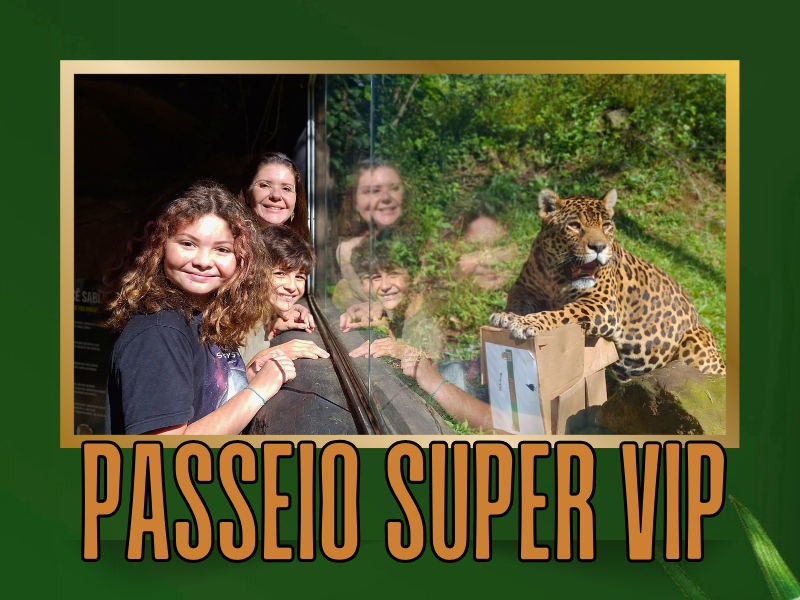 Passeio Super VIP