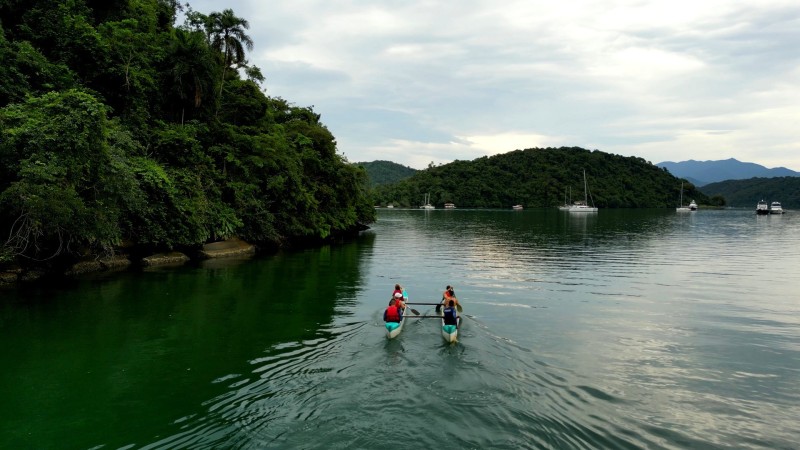 Isla de las Almas 4