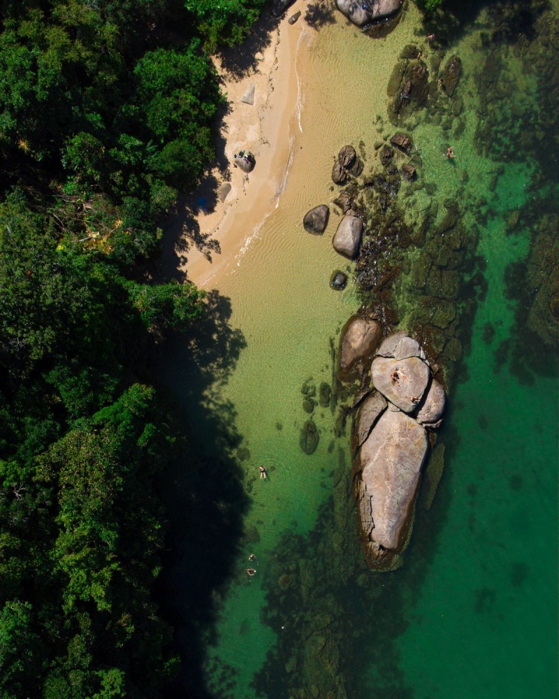 ILHA COTIA