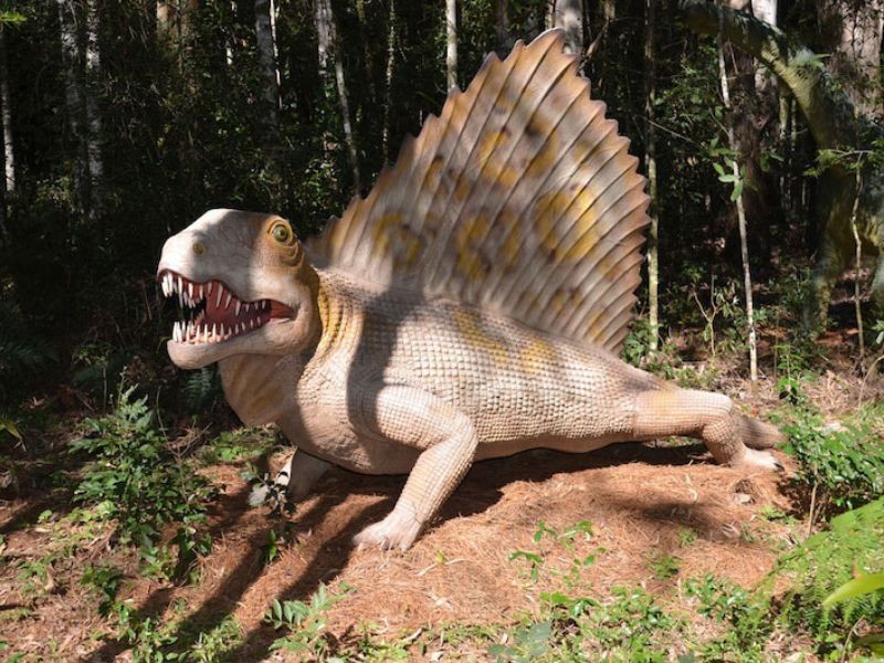 Dino