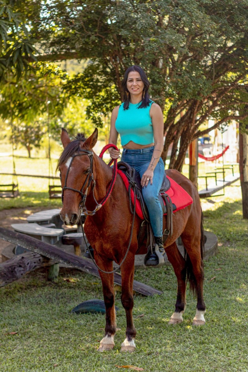 cavalo