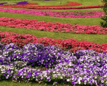 Mátria Parque de Flores