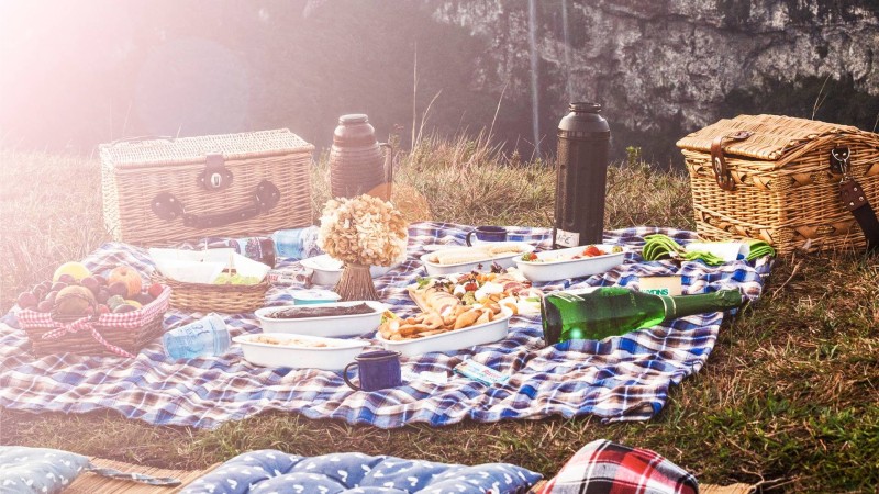 picnic v2