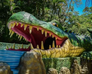 Ingresso Agua Show Park