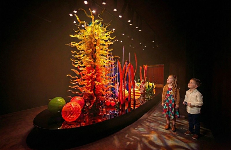 inquestionável criança