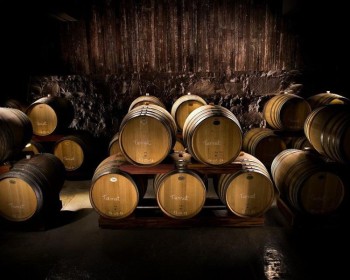 Tour Uva e Vinho com Epopeia Italiana e Maria Fumaça